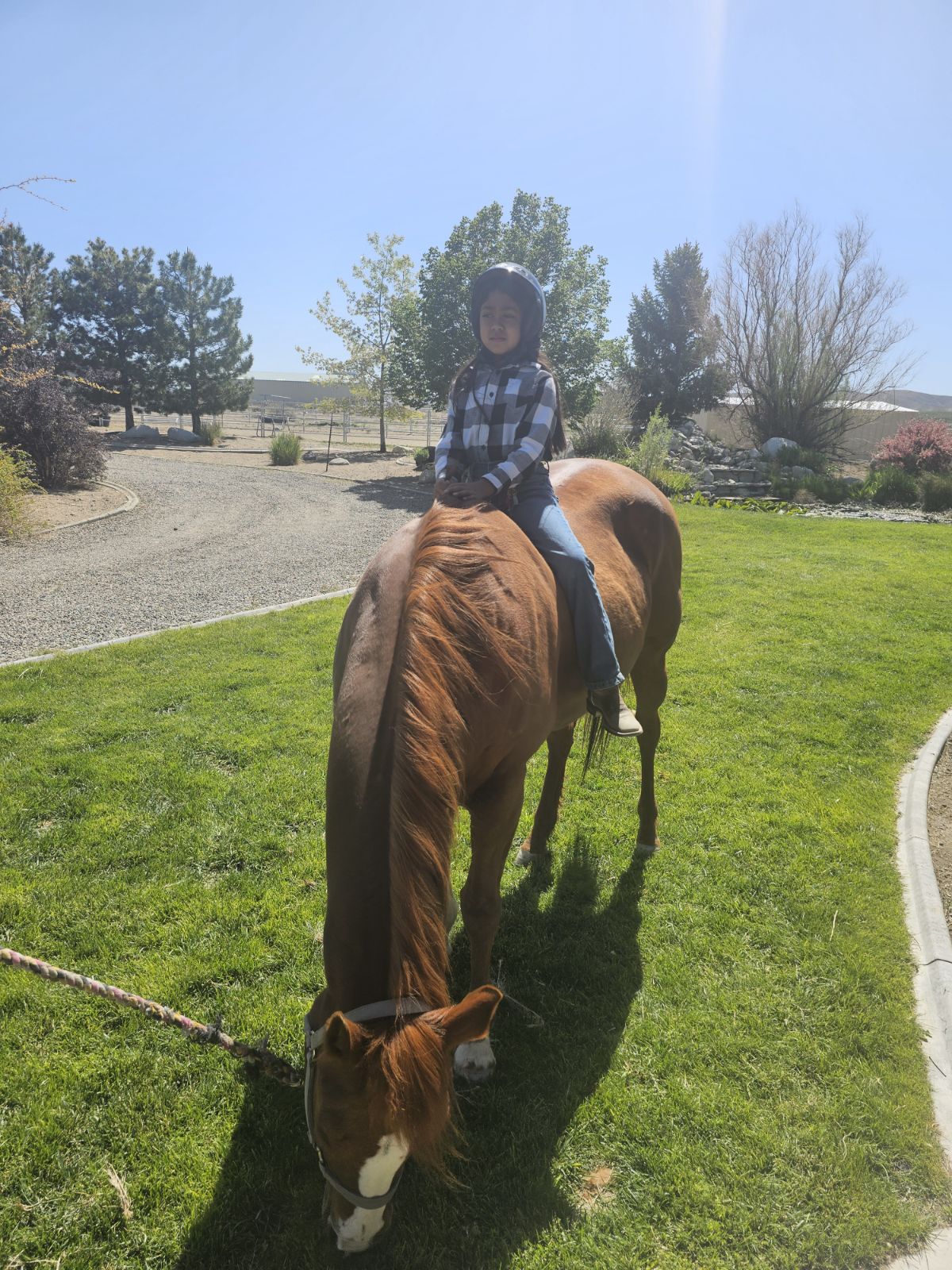 Kid Riding Horse