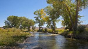 Walker River State Recreation Area