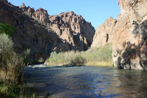 Wilson Canyon